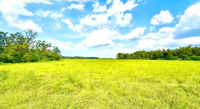 Photo of TBD-1 E US 27, Mayo, FL 32066