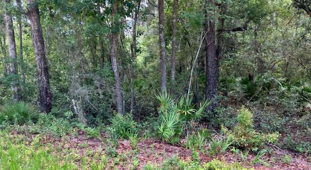 Photo of 0 SE 87th Ter, White Springs, FL 32096