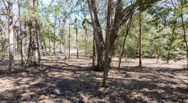 Photo of LT 30 141st Rd, Mcalpin, FL 32062