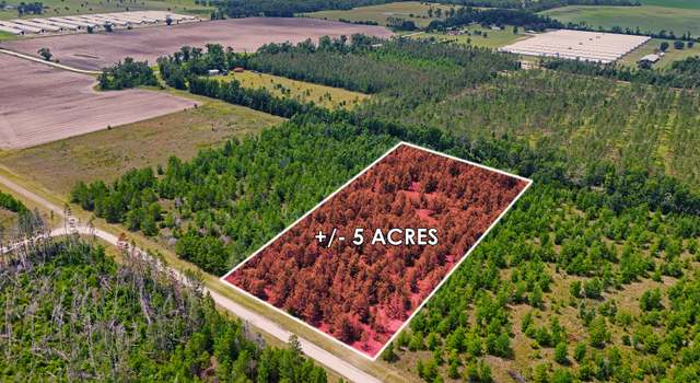 Photo of TBD NE Loblolly Trl, Lee, FL 32059