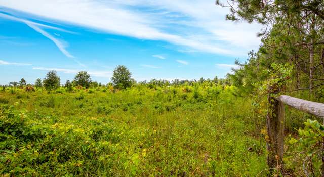 Photo of 00 NW Highlands Rd, Mayo, FL 32066