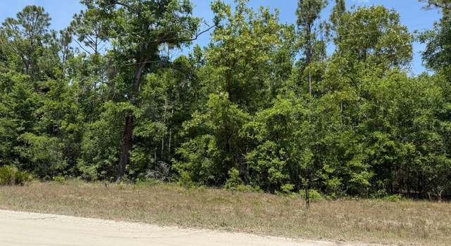 Photo of 00000 208th Trce, Obrien, FL 32071