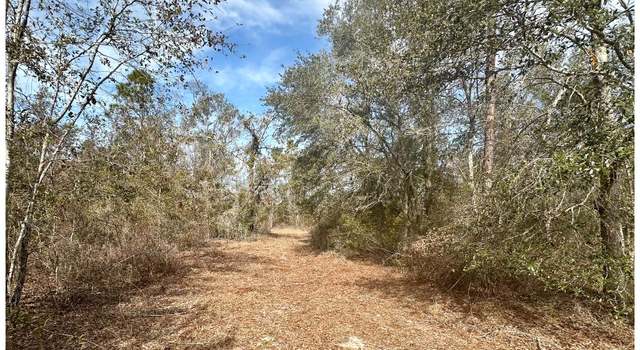 Photo of TBD NE Cedar Trl, Pinetta, FL 32350