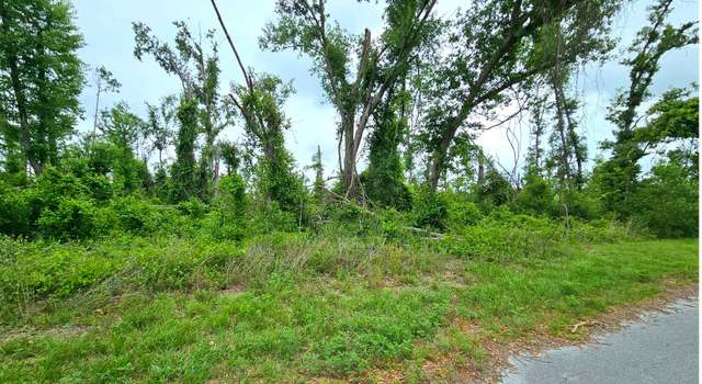 Photo of TBD SW Doe Road (lot 19), Mayo, FL 32066