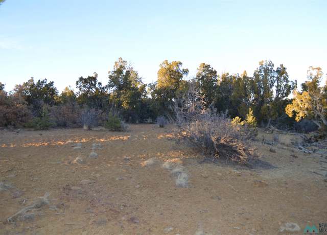 Property at LOT 18 Tbd Rockwood Rd, Candy Kitchen, NM 87357