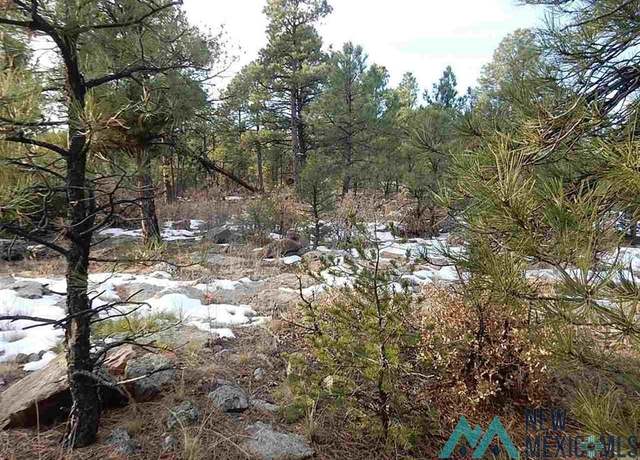 Property at TBD County Rd 13, Buena Vista, NM 87712