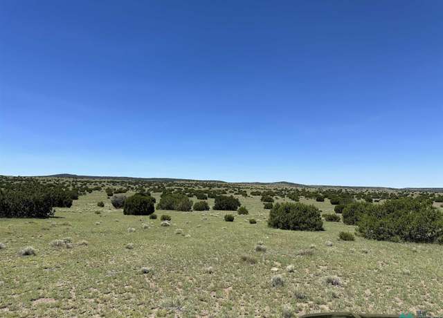 Property at 92 Northern Rd, Quemado, NM 87829