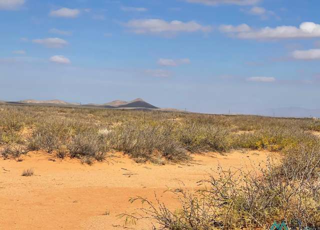 Property at Dripper Ranch Rd NW, Deming, NM 88030