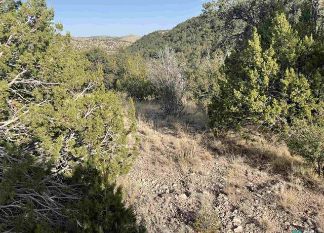 Property at 102 Longfellow Ave, Timberon, NM 88350