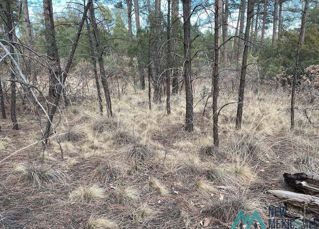 Property at 79 Riverside Dr, Timberon, NM 88350