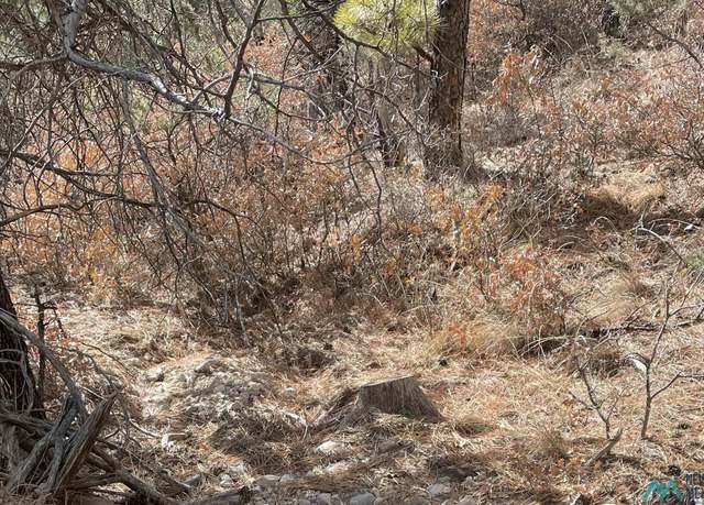 Property at 107 Merlin Dr, Timberon, NM 88350