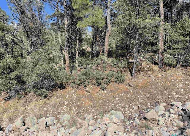 Property at 244 Shallow Dr, Timberon, NM 88350