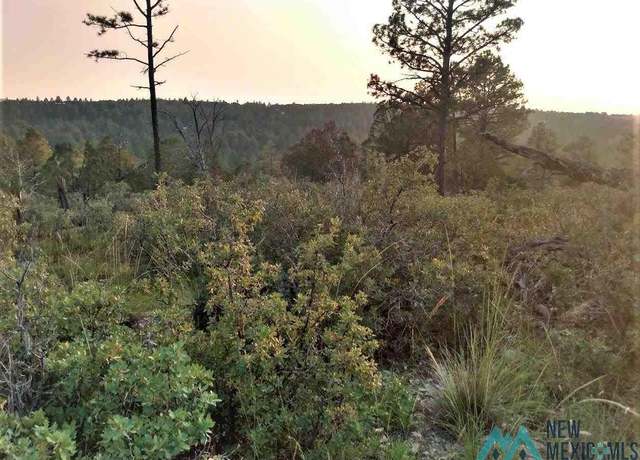 Property at 52 Milton Rd, Timberon, NM 88350