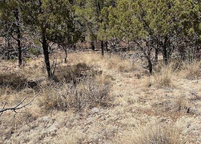 Property at 9 Bronco Dr, Timberon, NM 88350