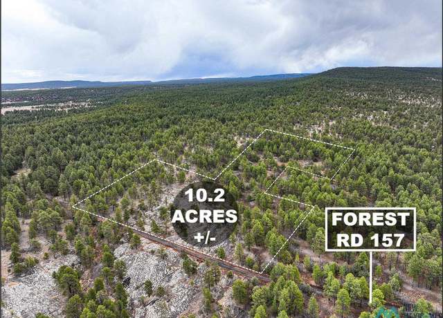 Property at LOT 25A Forest 157 Rd, Mcgaffey, NM 87316