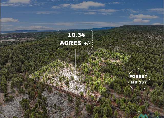 Property at LOT 25A Forest 157 Rd, Mcgaffey, NM 87316