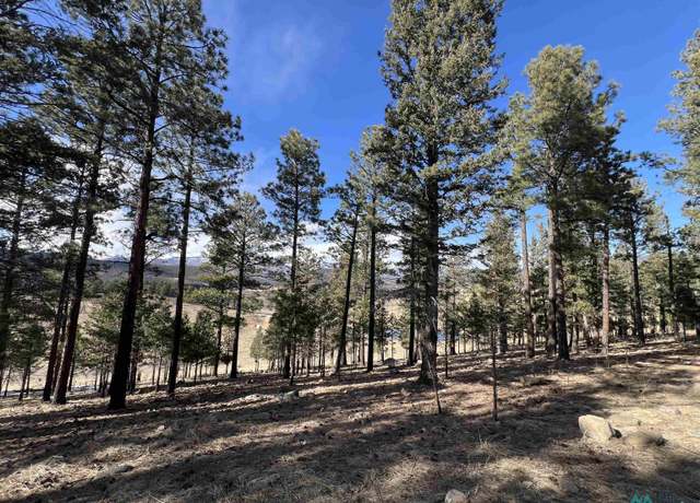 Property at 30 Goleta Ct, Rociada, NM 87742