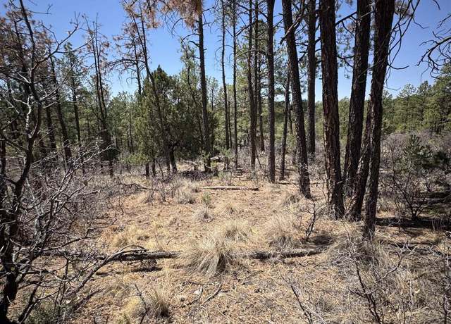 Property at 27 Hayssinia St, Timberon, NM 88350