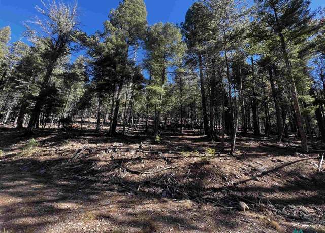 Property at 42 Forest Dr, Cloudcroft, NM 88317