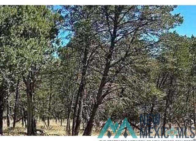 Property at Lot 20 Norwood Rd, Timberon, NM 88350