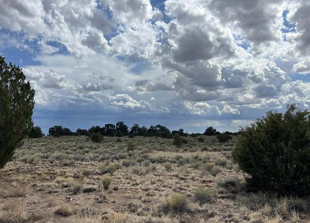 Property at Bridle Rd, Quemado, NM 87829