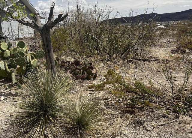 Property at 907 Grape St, Truth Or Consequences, NM 87901