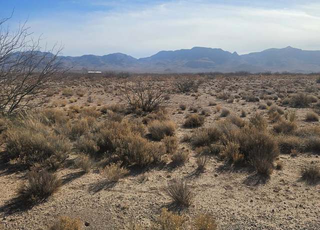 Property at XXX Saddle St, Rodeo, NM 88056