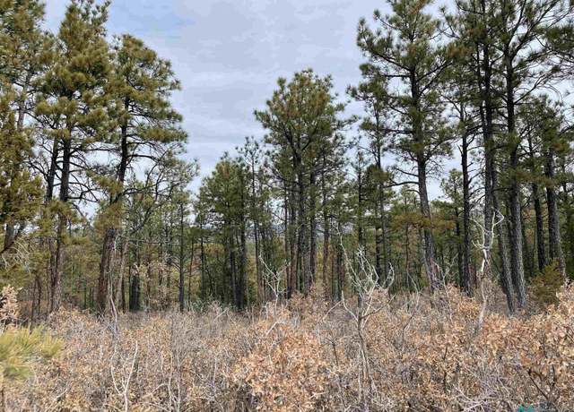 Property at 128 Bagdad Dr, Timberon, NM 88350