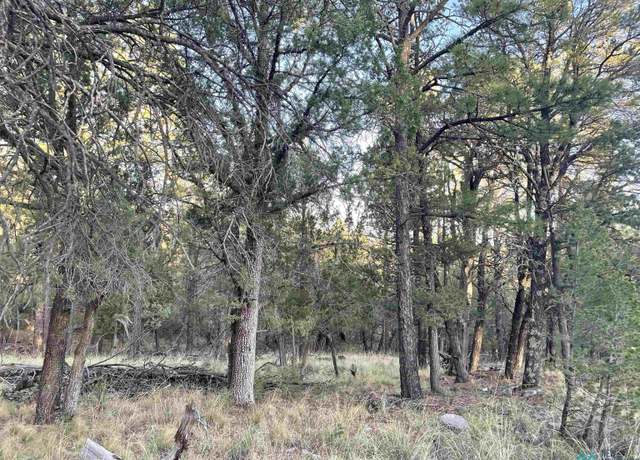 Property at 103 Keats Dr, Timberon, NM 88350