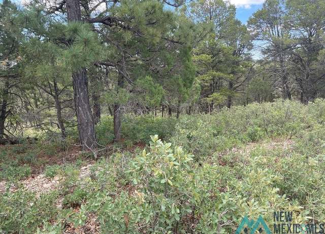 Property at 11 Trinidad Ave, Timberon, NM 88350
