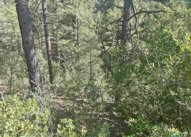 Property at 100 Trinidad Ave, Timberon, NM 88350