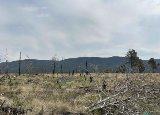 Property at 11 Tokatee Ct, Timberon, NM 88350
