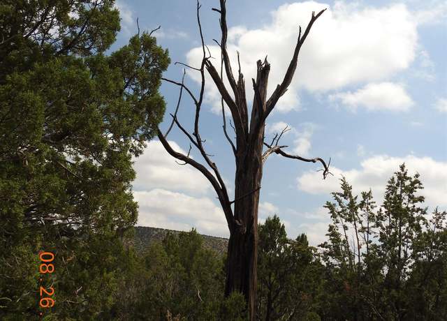 Property at 0 Cr B27 Rd, Serafina, NM 87567