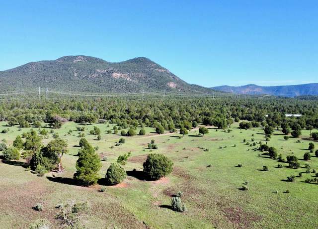 Property at 58 Brown Ln, Reserve, NM 87830