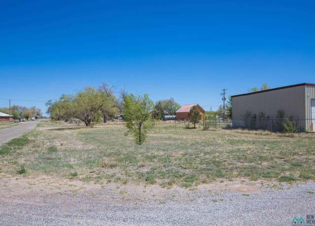 Property at Lot: 1-2 Block 14, Willard, NM 87063