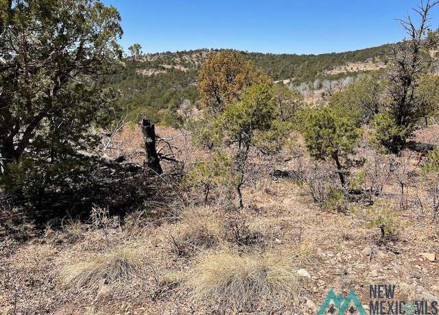 Property at 239 Anders Rd, Timberon, NM 88350