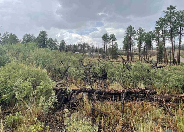 Property at 8 Movac Loop, Timberon, NM 88350