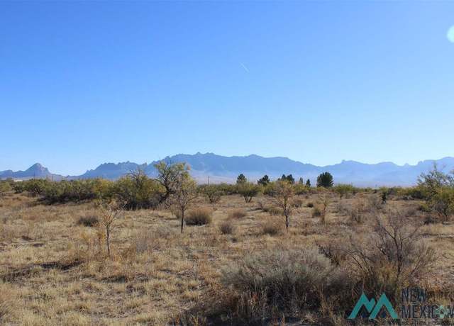 Property at Flying Diamond Rd SW, Deming, NM 88030