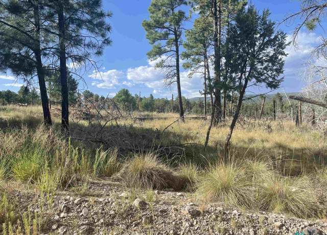 Property at 27 Balkans Dr, Timberon, NM 88350