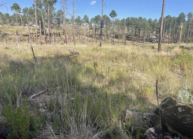 Property at 45 Balkans Dr, Timberon, NM 88350
