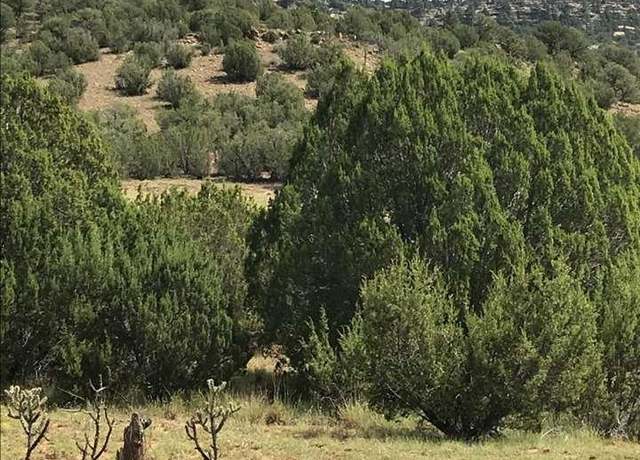 Property at CR B27 Tracts C3 & C4 Rds, Los Montoyas, NM 87701