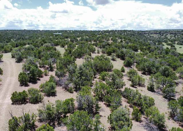 Property at Lot 46 Cimarron Dr, Quemado, NM 87829