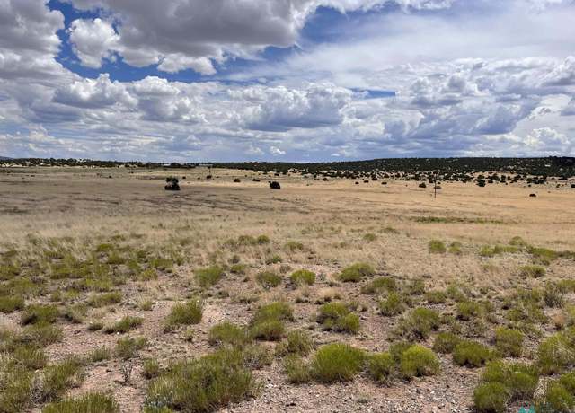 Property at Lot 144 Quail Dr, Quemado, NM 87829