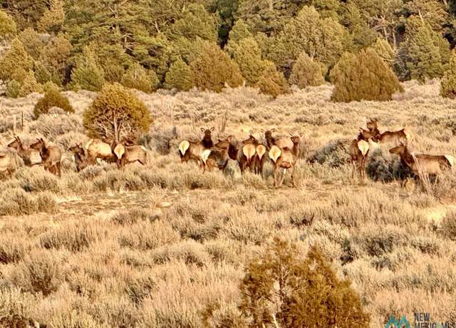Property at 000 96 & 595 Hwy, Regina, NM 87017