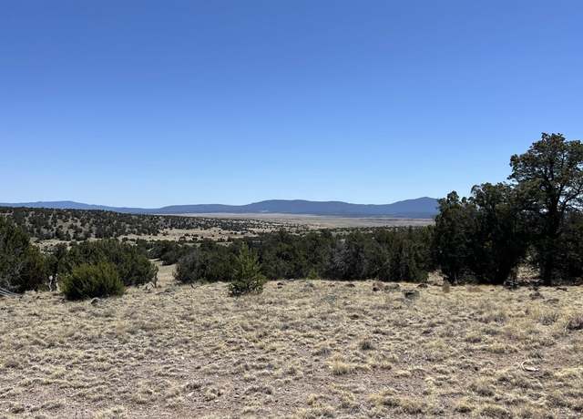 Property at 47 Golden Horseshoe Rd, Quemado, NM 87829