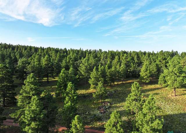 Property at 000 Forest Road 157, Bluewater, NM 87005