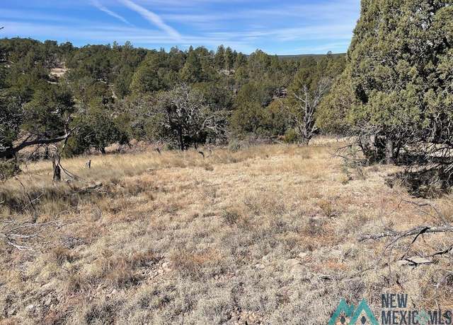 Property at Lot 28 Bronco Dr, Timberon, NM 88350