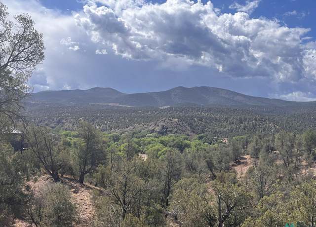 Property at 40 W Rivers Rd, Reserve, NM 87830