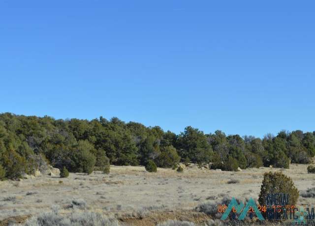 Property at TBD Sierra De Manana Dr, Candy Kitchen, NM 87321
