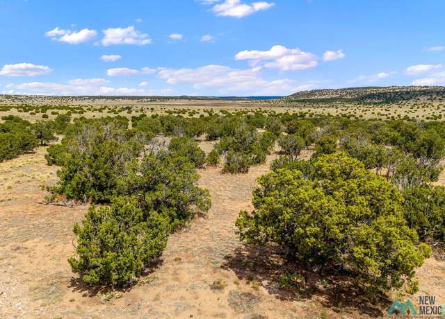 Property at 158 Deer Rd, Quemado, NM 87829